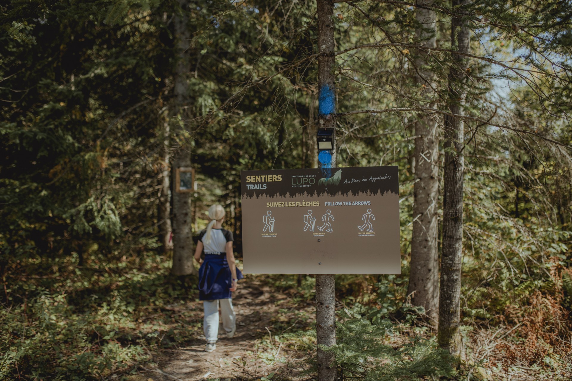 Horaire automne 2025