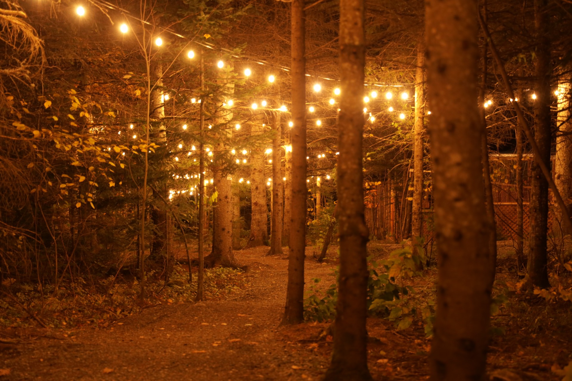 Horaire automne 2025