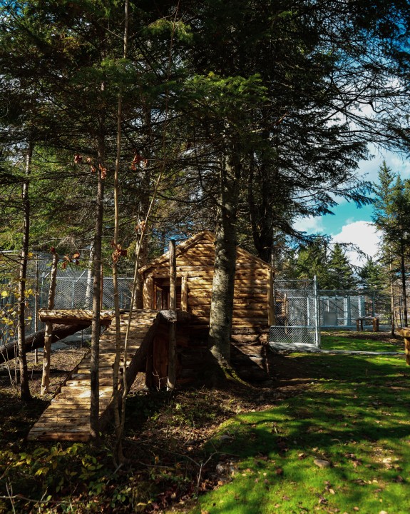 25% de rabais ! Certificat Cadeau Mini Pod8