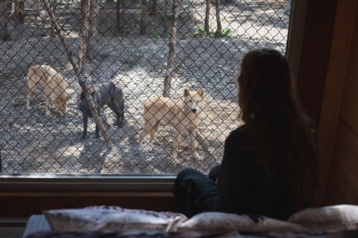 25% de rabais ! Certificat Cadeau Mini Pod5