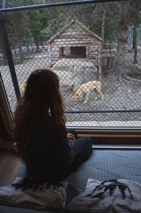 25% de rabais ! Certificat Cadeau Mini Pod7