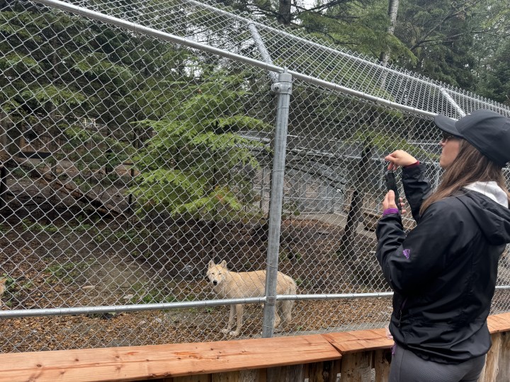 25% de rabais ! Certificat Cadeau Mini Pod9