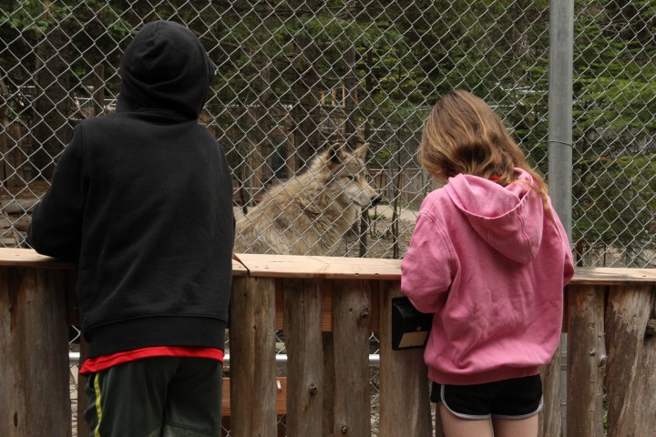 Passe familiale - Visite guidée