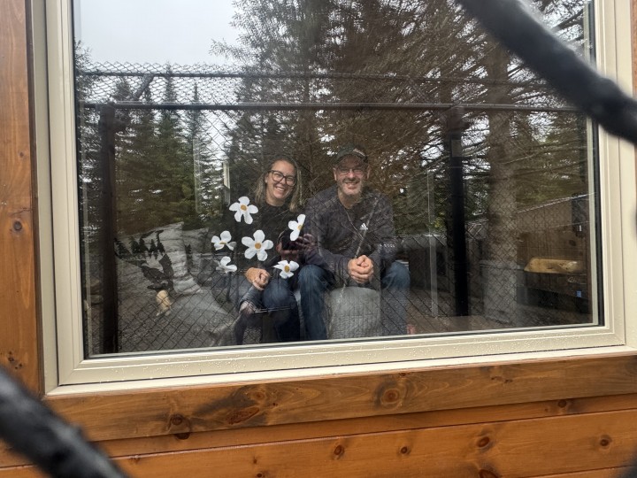 Options d’hébergement