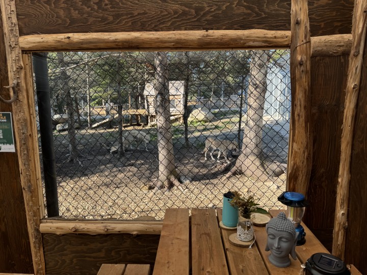 25% de rabais ! Certificat Cadeau Mini Pod10