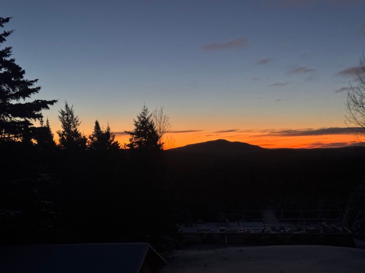 ❄️ Hiver — Les loups dans toute leur splendeur5