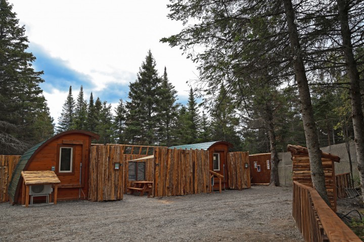 🍁 Automne — Un spectacle de couleurs et de sérénité4