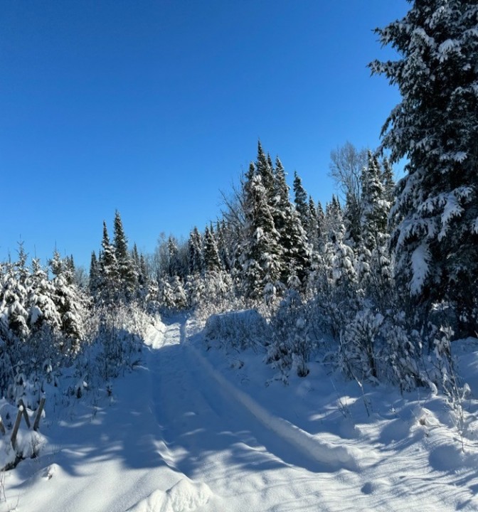 Hivers 2025 - Pistage et adaptation hivernale