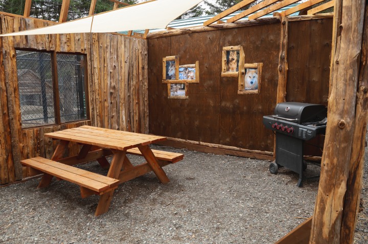 25% de rabais ! Certificat Cadeau Mini Pod6