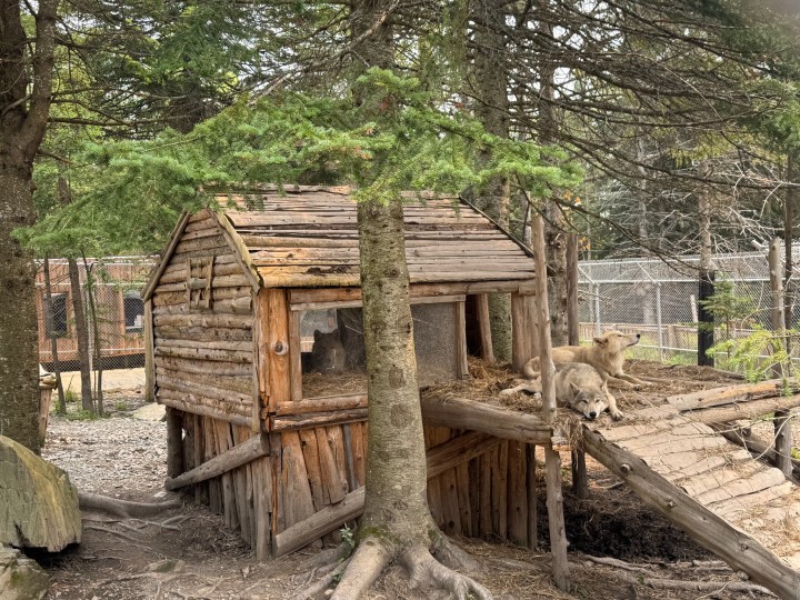 🌸 Printemps — Le réveil de la nature3