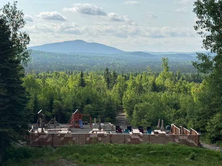 🌸 Printemps — Le réveil de la nature4