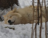 Visite libre du site 2