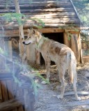 Passe familiale - Visite libre2