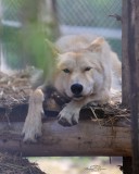 Visite libre du site 6