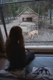 Mini-Pod - Dormir avec les loups10