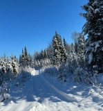 Hivers 2025 - Pistage et adaptation hivernale